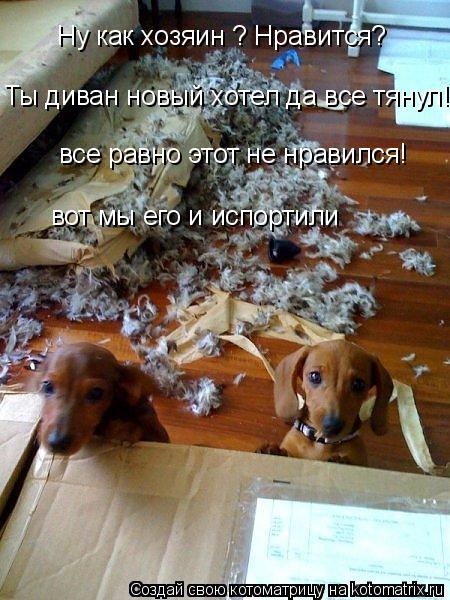 Котоматрица: Ну как хозяин ? Нравится? Ты диван новый хотел да все тянул! Ну как хозяин ? Нравится? все равно этот не нравился! вот мы его и испортили