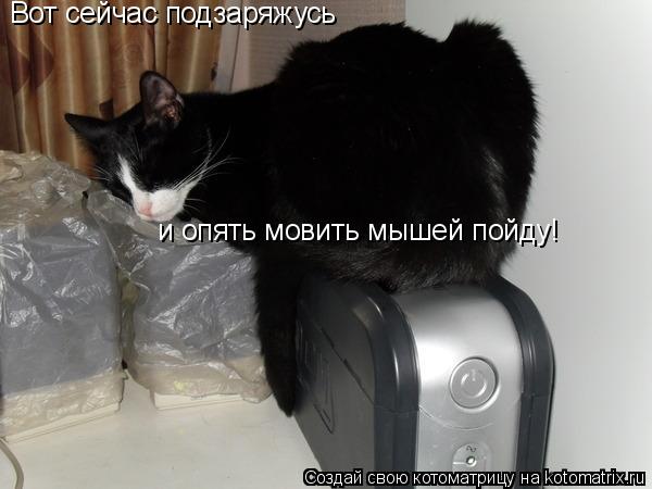 Котоматрица: Вот сейчас подзаряжусь  и опять мовить мышей пойду!