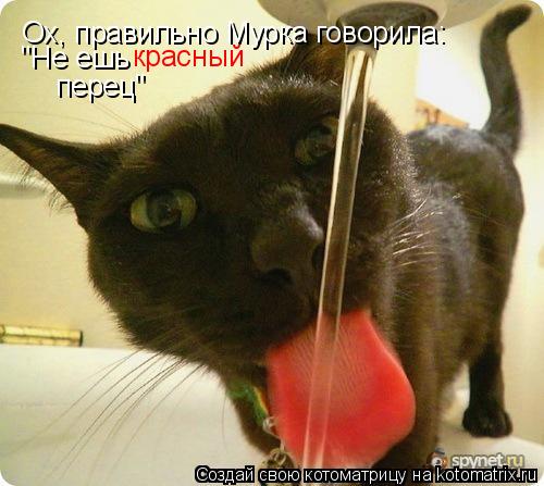 Котоматрица: Ох, правильно Мурка говорила: "Не ешь  красный перец"