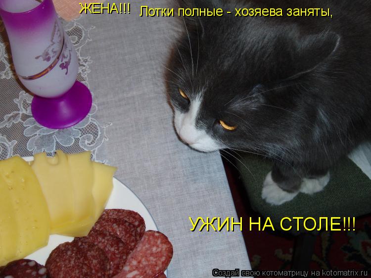 Котоматрица: ЖЕНА!!! Лотки полные - хозяева заняты, УЖИН НА СТОЛЕ!!!