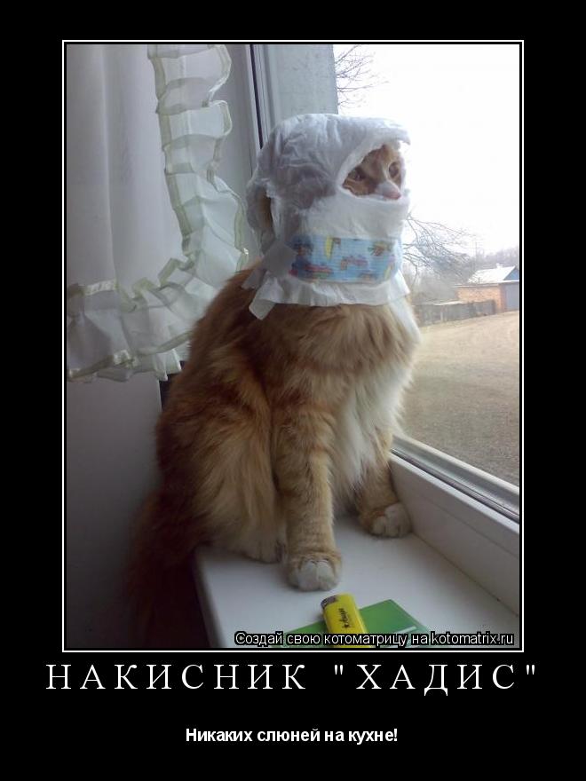 НАКИСНИК "ХАДИС" Никаких слюней на кухне!... Котоматрица: НАКИСНИК "ХАДИС" Никаких слюней на кухне!