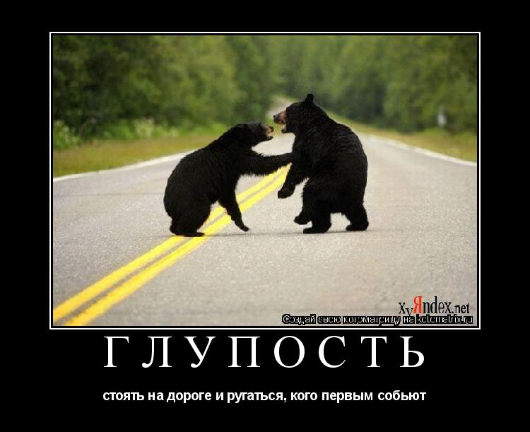 Глупость стоять на дороге и ругаться, кого первым собьют... Котоматрица: Глупость стоять на дороге и ругаться, кого первым собьют
