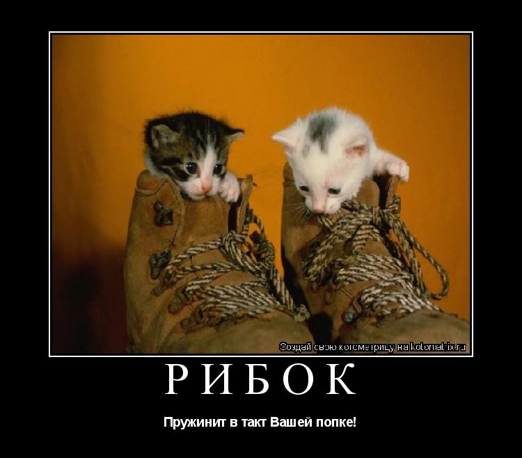 РИБОК Пружинит в такт Вашей попке!... Котоматрица: РИБОК Пружинит в такт Вашей попке!