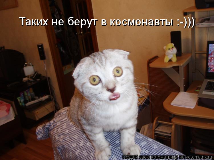 Котоматрица: Таких не берут в космонавты :-)))