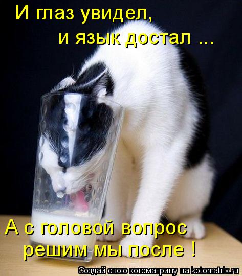 И глаз увидел, и язык достал ... А с головой вопрос решим мы после !... Котоматрица: И глаз увидел, и язык достал ... А с головой вопрос решим мы после !