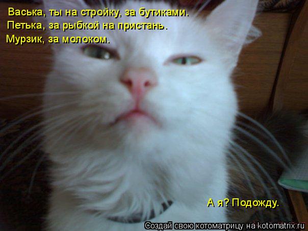 Котоматрица: Васька, ты на стройку, за бутиками. Петька, за рыбкой на пристань. Мурзик, за молоком. А я? Подожду.