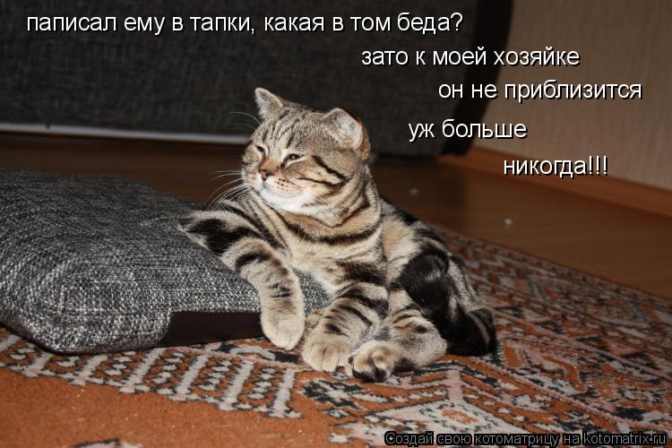 Котоматрица: паписал ему в тапки, какая в том беда? зато к моей хозяйке он не приблизится  уж больше  никогда!!!