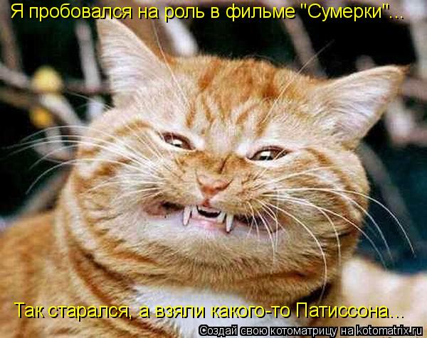 Котоматрица: Я пробовался на роль в фильме "Сумерки"... Так старался, а взяли какого-то Патиссона...