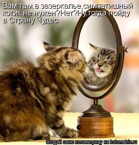 Котоматрица: Вам там,в зазеркалье,симпатишный котик не нужен?Нет?Ну,тогда пойду в Страну Чудес.