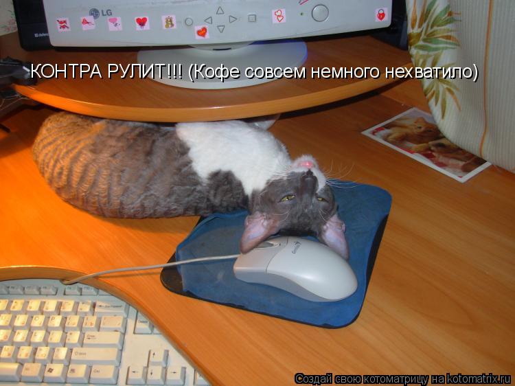 Котоматрица: КОНТРА РУЛИТ!!! (Кофе совсем немного нехватило)