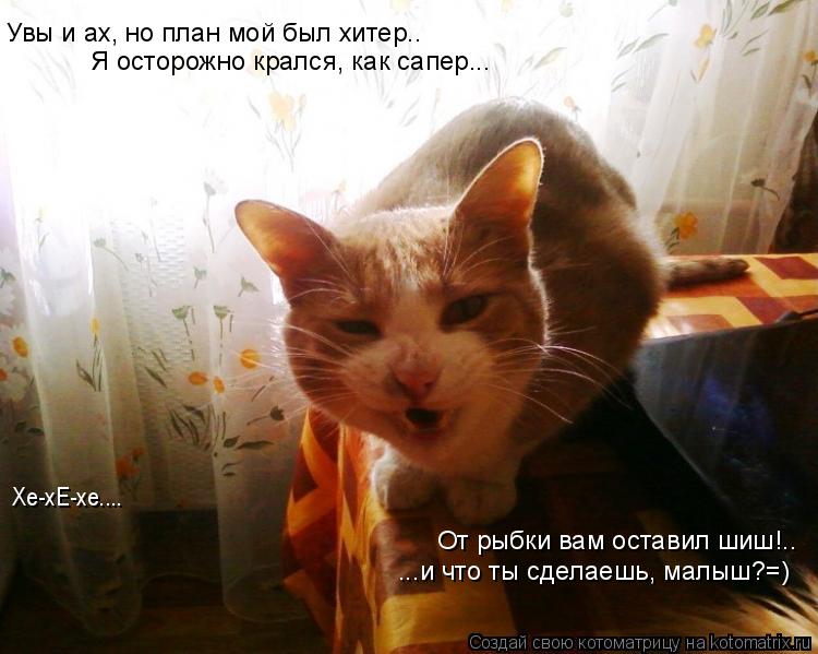 Котоматрица: Увы и ах, но план мой был хитер.. Я осторожно крался, как сапер... От рыбки вам оставил шиш!.. ...и что ты сделаешь, малыш?=) Хе-хЕ-хе....