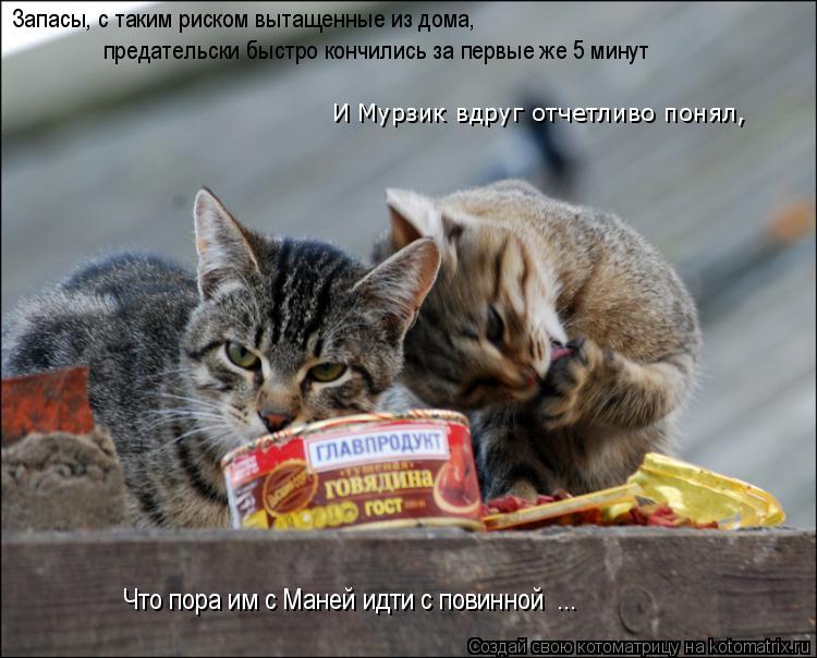 предательски быстро кончились за первые же 5 минут И Мурзик вдруг отчетливо понял, Что пора им с Ман... Котоматрица: предательски быстро кончились за первые же 5 минут И Мурзик вдруг отчетливо понял, Что пора им с Маней идти с повинной ... Запасы, с таким рис