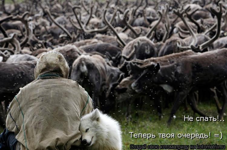 Теперь твоя очередь! =) Не спать!..... Котоматрица: Теперь твоя очередь! =) Не спать!..