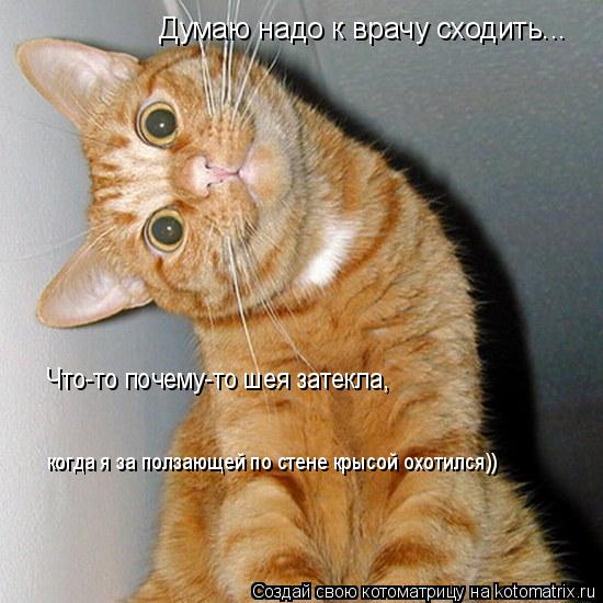 Думаю надо к врачу сходить... Что-то почему-то шея затекла, когда я за ползающей по стене крысой охот... Котоматрица: Думаю надо к врачу сходить... Что-то почему-то шея затекла, когда я за ползающей по стене крысой охотился))