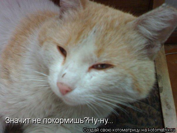 Значит не покормишь?Ну-ну...... Котоматрица: Значит не покормишь?Ну-ну...