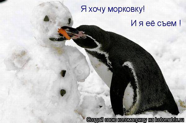 Я хочу морковку! И я её съем !... Котоматрица: Я хочу морковку! И я её съем !