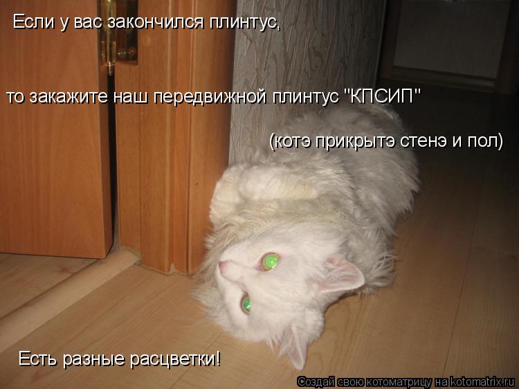 Если у вас закончился плинтус, то закажите наш передвижной плинтус "КПСИП" (котэ прикрытэ стенэ и пол... Котоматрица: Если у вас закончился плинтус, то закажите наш передвижной плинтус "КПСИП" (котэ прикрытэ стенэ и пол) Есть разные расцветки!