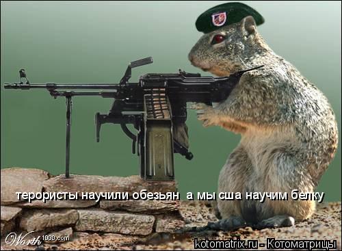 Котоматрица: терористы научили обезьян  а мы сша научим белку