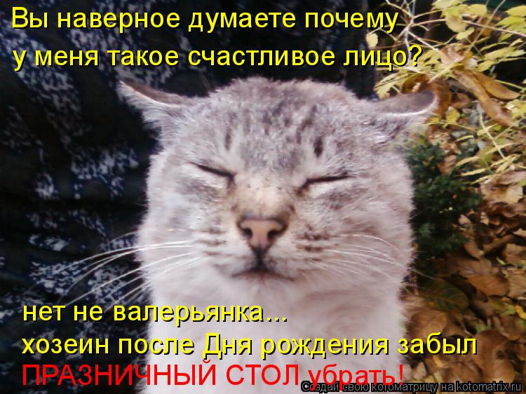 Котоматрица: Вы наверное думаете почему у меня такое счастливое лицо? нет не валерьянка... хозеин после Дня рождения забыл ПРАЗНИЧНЫЙ СТОЛ убрать!