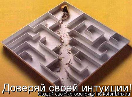 Котоматрица: Доверяй своей интуиции!