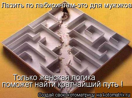 Только женская логика поможет найти кратчайший путь ! Лазить по лабиринтам-это для мужиков... Котоматрица: Только женская логика поможет найти кратчайший путь ! Лазить по лабиринтам-это для мужиков