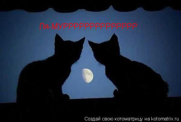 Котоматрица: Ля-МУРРРРРРРРРРРРРР