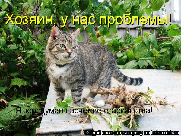Котоматрица: Хозяин, у нас проблемы! Я передумал насчет вегетарианства!