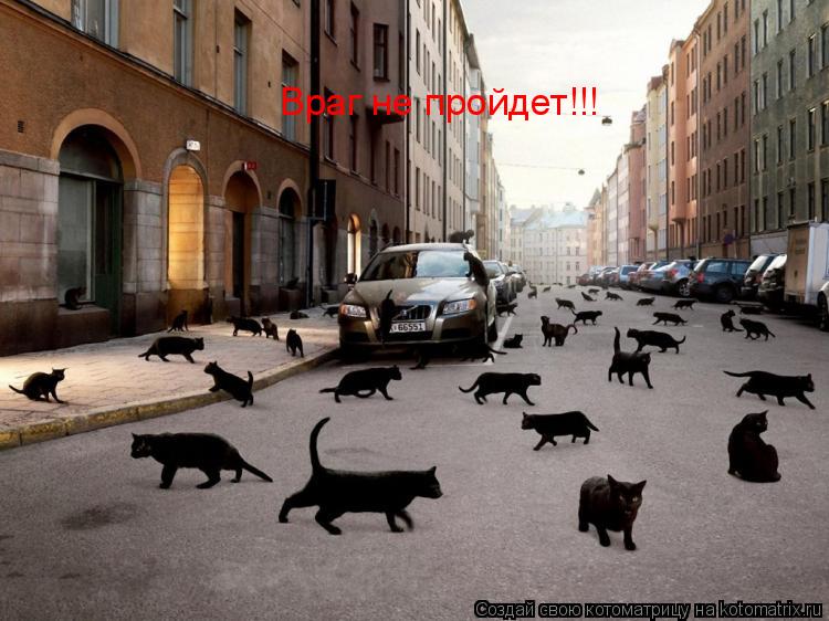 Враг не пройдет!!!... Котоматрица: Враг не пройдет!!!
