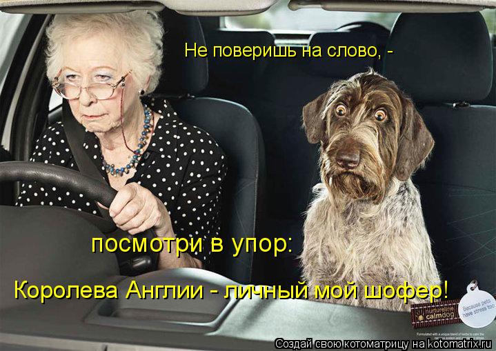 Не поверишь на слово, - посмотри в упор: Королева Англии - личный мой шофер!... Котоматрица: Не поверишь на слово, - посмотри в упор: Королева Англии - личный мой шофер!
