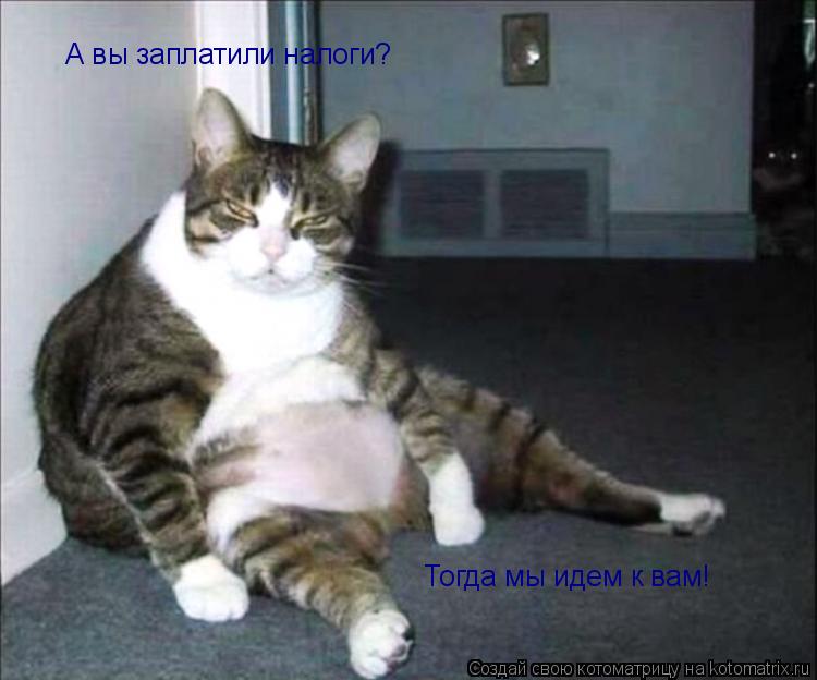 А вы заплатили налоги? Тогда мы идем к вам!... Котоматрица: А вы заплатили налоги? Тогда мы идем к вам!