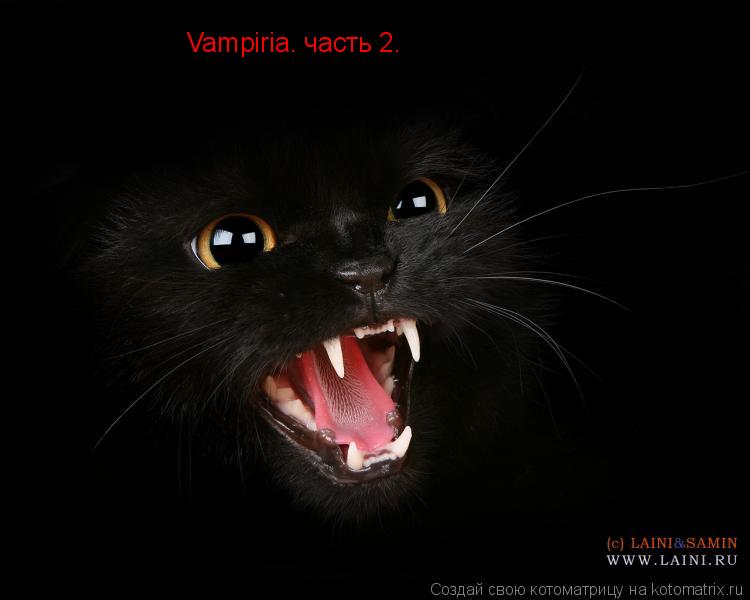 Vampiria. часть 2.... Котоматрица: Vampiria. часть 2.