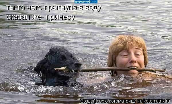 ты то чего прыгнула в воду.. сказал же- принесу... Котоматрица: ты то чего прыгнула в воду.. сказал же- принесу