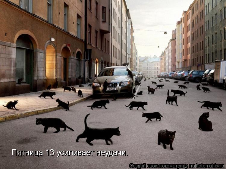 Пятница 13 усиливает неудачи.... Котоматрица: Пятница 13 усиливает неудачи.