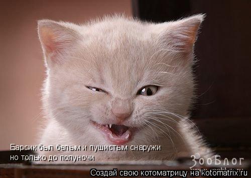 Барсик был белым и пушистым снаружи но только до полуночи... Котоматрица: Барсик был белым и пушистым снаружи но только до полуночи