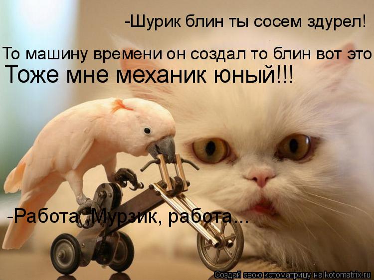 То машину времени он создал то блин вот это Тоже мне механик юный!!! -Шурик блин ты сосем здурел! -Ра... Котоматрица: То машину времени он создал то блин вот это Тоже мне механик юный!!! -Шурик блин ты сосем здурел! -Работа ,Мурзик, работа...