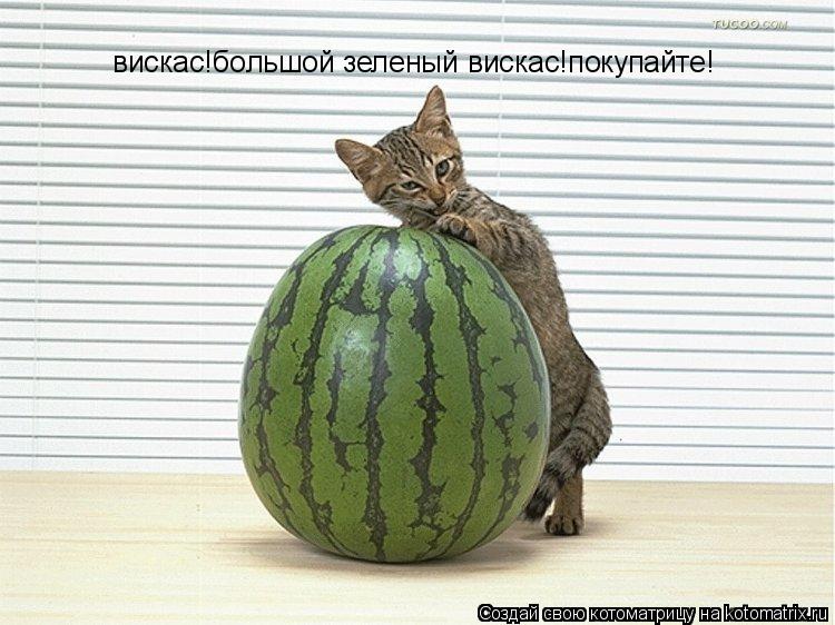 вискас!большой зеленый вискас!покупайте!... Котоматрица: вискас!большой зеленый вискас!покупайте!