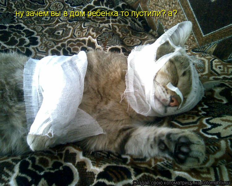 ну зачем вы в дом ребенка то пустили? а?... Котоматрица: ну зачем вы в дом ребенка то пустили? а?