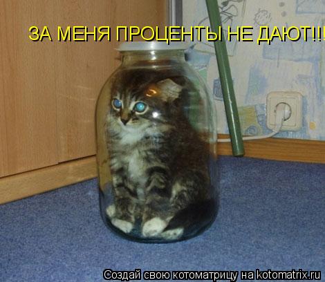 ЗА МЕНЯ ПРОЦЕНТЫ НЕ ДАЮТ!!!... Котоматрица: ЗА МЕНЯ ПРОЦЕНТЫ НЕ ДАЮТ!!!