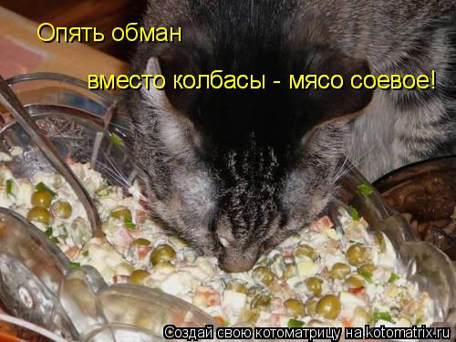 Опять обман вместо колбасы - мясо соевое! вместо колбасы - мясо соевое!... Котоматрица: Опять обман вместо колбасы - мясо соевое! вместо колбасы - мясо соевое!
