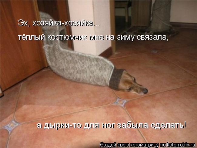 Эх, хозяйка-хозяйка... а дырки-то для ног забыла сделать! тёплый костюмчик мне на зиму связала,... Котоматрица: Эх, хозяйка-хозяйка... а дырки-то для ног забыла сделать! тёплый костюмчик мне на зиму связала,