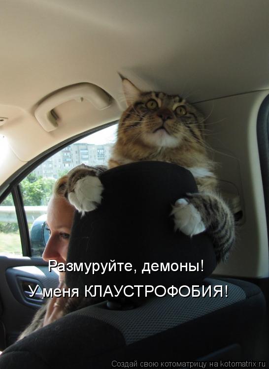 Размуруйте, демоны! У меня КЛАУСТРОФОБИЯ!... Котоматрица: Размуруйте, демоны! У меня КЛАУСТРОФОБИЯ!