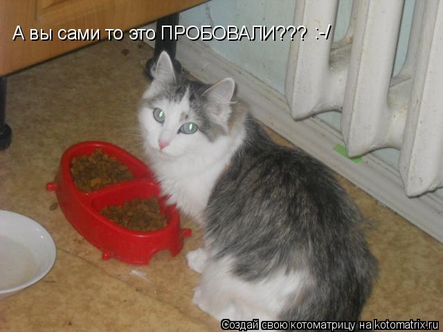 А вы сами то это ПРОБОВАЛИ??? :-/... Котоматрица: А вы сами то это ПРОБОВАЛИ??? :-/