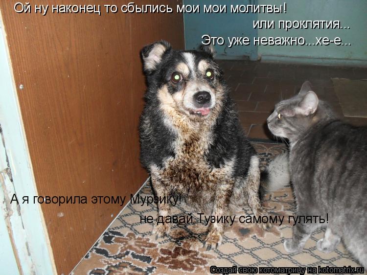 Ой ну наконец то сбылись мои мои молитвы! или проклятия... Это уже неважно...хе-е... А я говорила это... Котоматрица: Ой ну наконец то сбылись мои мои молитвы! или проклятия... Это уже неважно...хе-е... А я говорила этому Мурзику! не давай Тузику самому гулять!