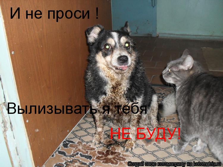 И не проси ! Вылизывать я тебя НЕ БУДУ!... Котоматрица: И не проси ! Вылизывать я тебя НЕ БУДУ!