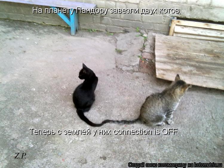 На планету Пандору завезли двух котов, Теперь с землёй у них connection is OFF... Котоматрица: На планету Пандору завезли двух котов, Теперь с землёй у них connection is OFF