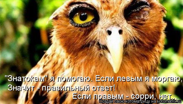 "Знатокам" я помогаю. Если левым я моргаю, Значит - правильный ответ! Если правым - сорри, нет...... Котоматрица: "Знатокам" я помогаю. Если левым я моргаю, Значит - правильный ответ! Если правым - сорри, нет...