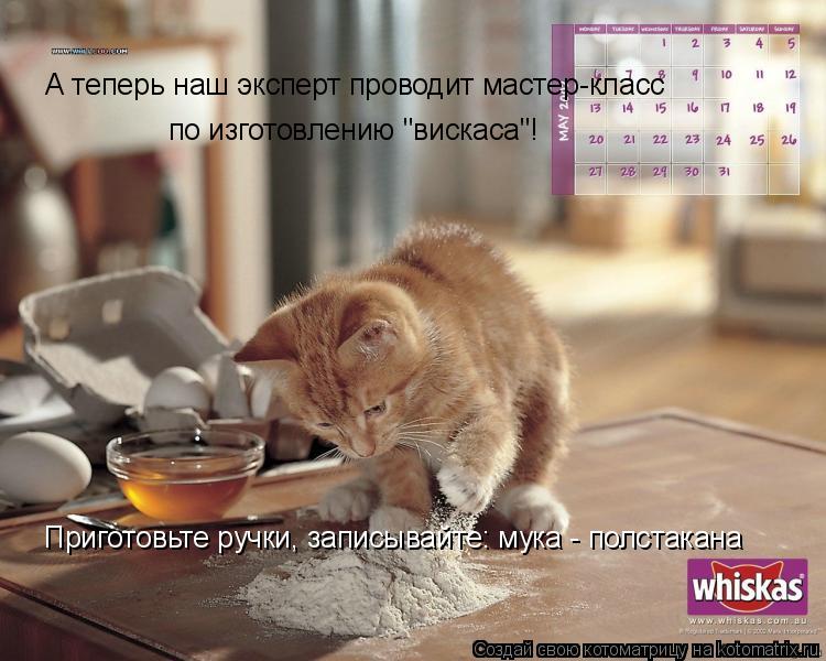 А теперь наш эксперт проводит мастер-класс по изготовлению "вискаса"! Приготовьте ручки, записывайте:... Котоматрица: А теперь наш эксперт проводит мастер-класс по изготовлению "вискаса"! Приготовьте ручки, записывайте: мука - полстакана