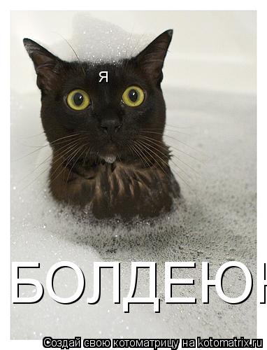 я БОЛДЕЮЮЮ... Котоматрица: я БОЛДЕЮЮЮ