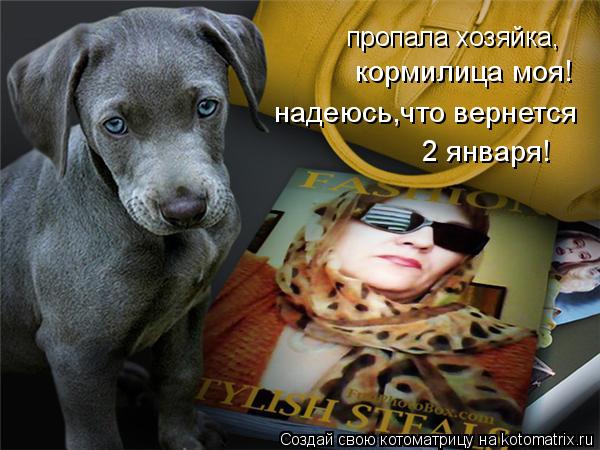 пропала хозяйка, кормилица моя! надеюсь,что вернется 2 января!... Котоматрица: пропала хозяйка, кормилица моя! надеюсь,что вернется 2 января!