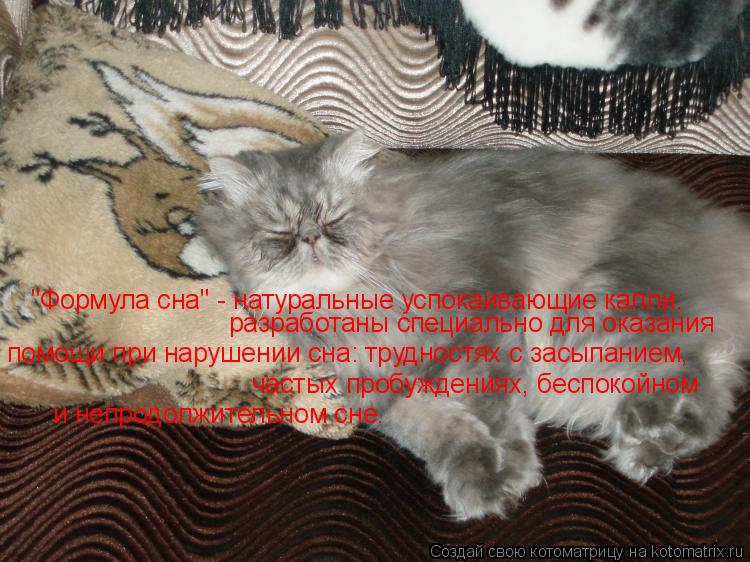 "Формула сна" - натуральные успокаивающие капли. разработаны специально для оказания помощи при нар... Котоматрица: "Формула сна" - натуральные успокаивающие капли. разработаны специально для оказания помощи при нарушении сна: трудностях с засыпанием, ча